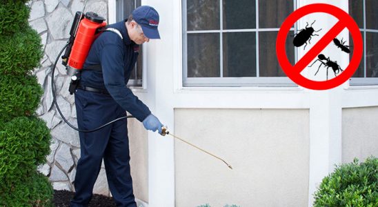 Pınarbaşı Tahtakurusu İlaçlama böcek ilaçlama ve haşere kontrolü — ilaclama-tr.com